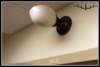 smrc_2014_0161_small.jpg