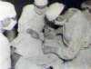 smrc_hist_misc12_small.jpg