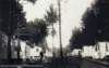 smrc_hist_misc27_small.jpg